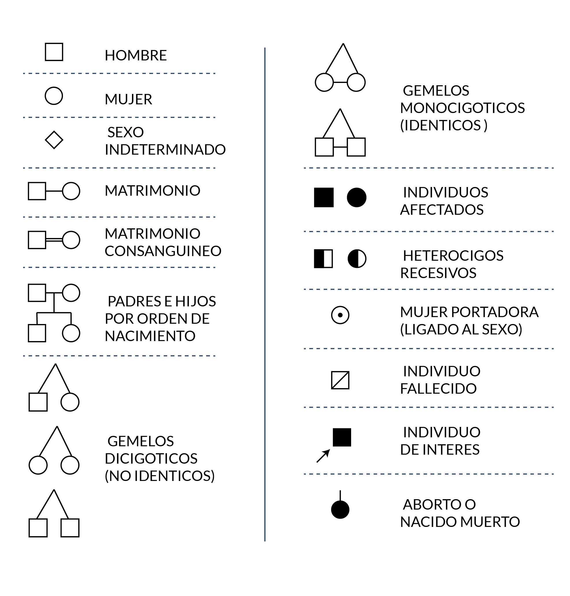 Árbol genealógico